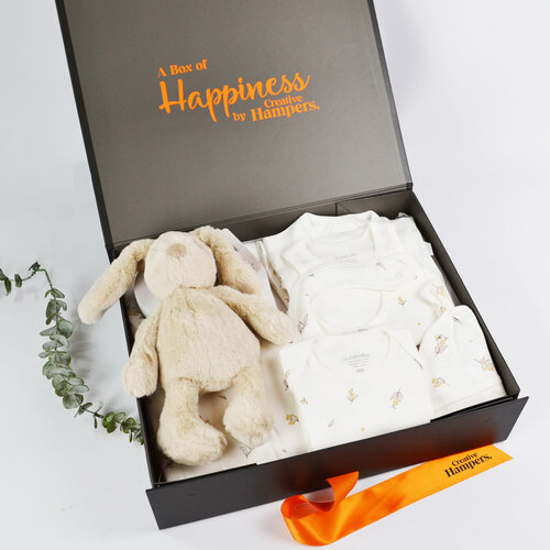 creative_hampers_Purebaby Newborn Hamper         22759