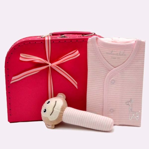 OCCASIONS
 creative_hampers_Cheeky Monkey for Girls Hamper       22818