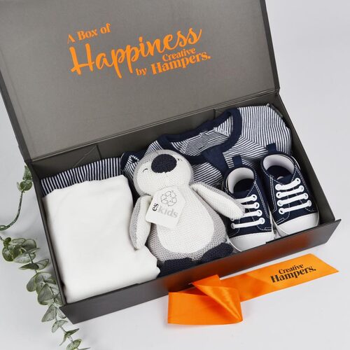 creative_hampers_Cuddles For Him Baby Hamper       7166