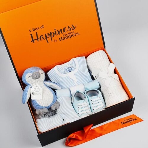 Shop Hampers By Price
 creative_hampers_Cuddles For Him Baby Hamper       7166
